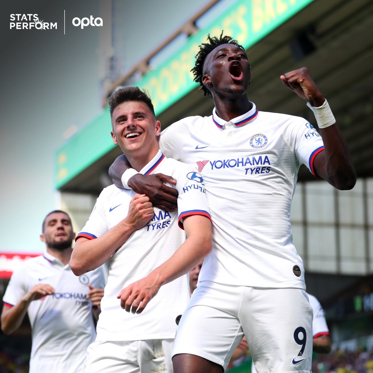 近年来在足 近年来在足